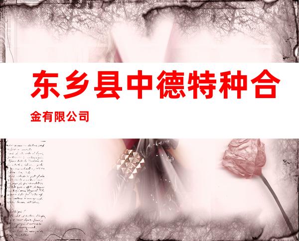 东乡县中德特种合金有限公司