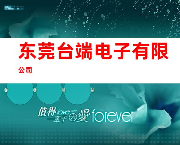 东莞台端电子有限公司