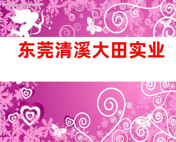 东莞清溪大田实业