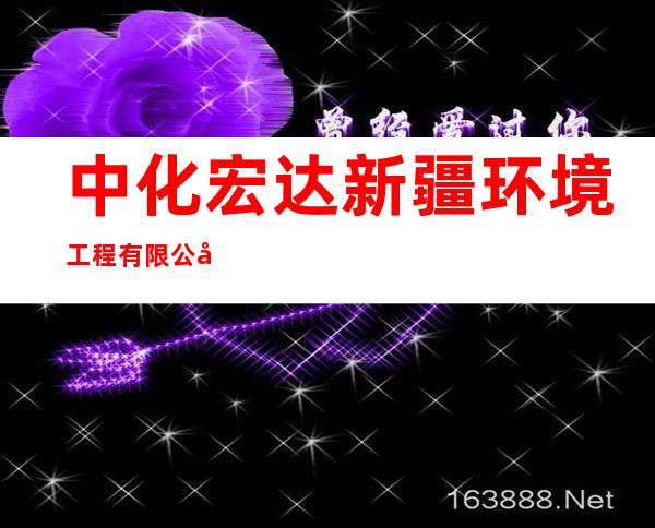 中化宏达新疆环境工程有限公司