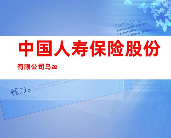 中国人寿保险股份有限公司乌海市海勃湾区支公司营销服务部