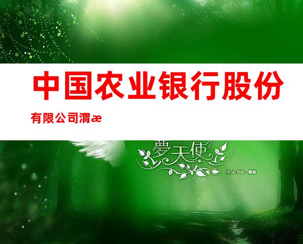中国农业银行股份有限公司渭源县支行