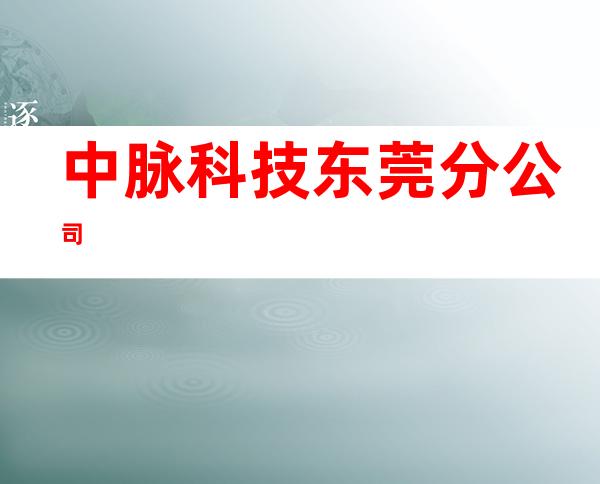 中脉科技东莞分公司