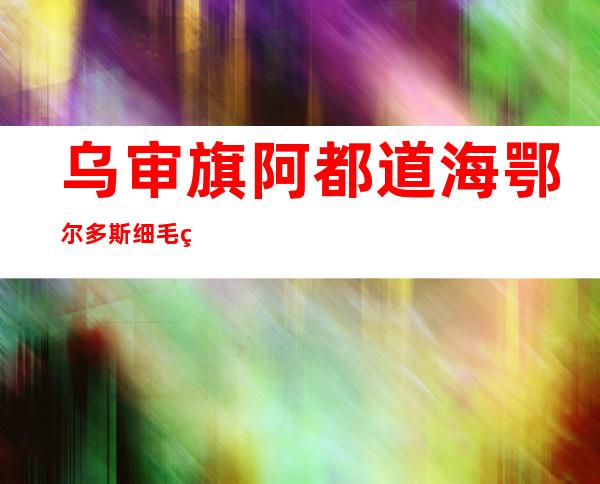 乌审旗阿都道海鄂尔多斯细毛羊养殖专业合作社