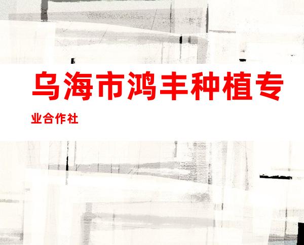 乌海市鸿丰种植专业合作社