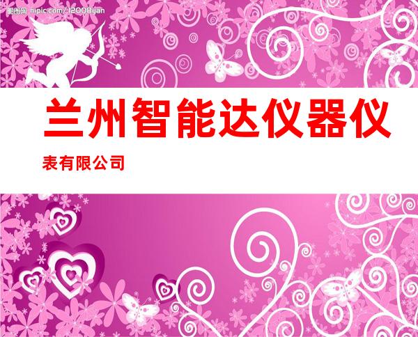 兰州智能达仪器仪表有限公司