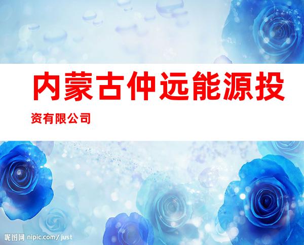 内蒙古仲远能源投资有限公司