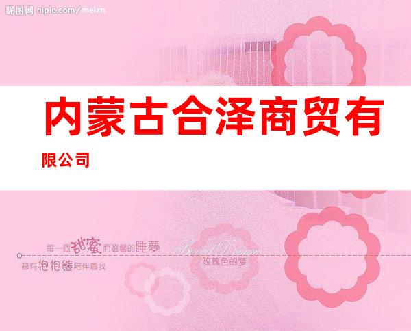 内蒙古合泽商贸有限公司