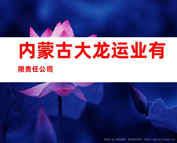 内蒙古大龙运业有限责任公司