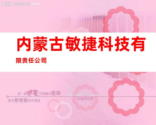 内蒙古敏捷科技有限责任公司