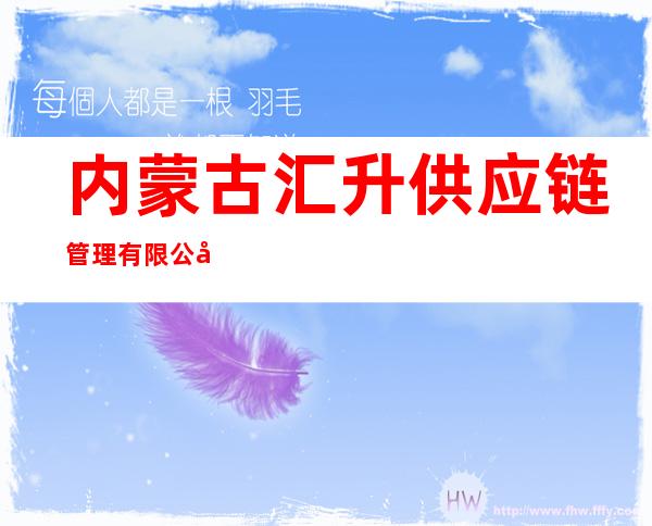 内蒙古汇升供应链管理有限公司