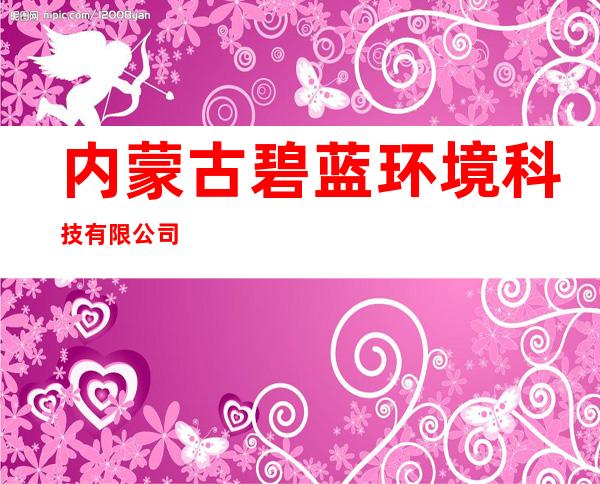 内蒙古碧蓝环境科技有限公司