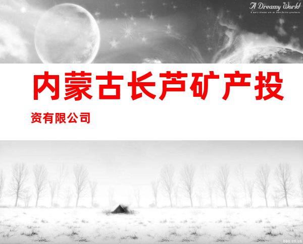 内蒙古长芦矿产投资有限公司