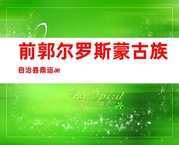 前郭尔罗斯蒙古族自治县鼎运新能源有限公司