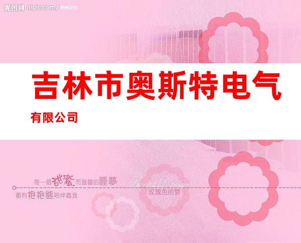 吉林市奥斯特电气有限公司