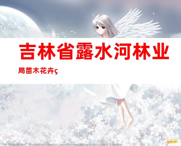 吉林省露水河林业局苗木花卉经营处