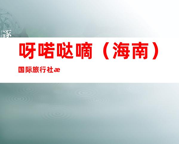 呀喏哒嘀（海南）国际旅行社有限公司