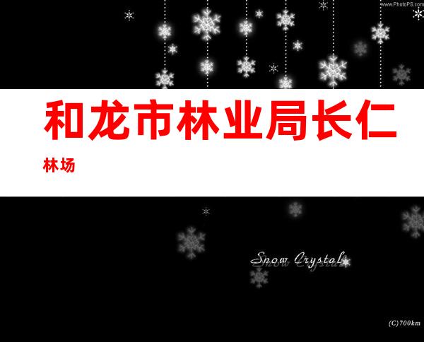 和龙市林业局长仁林场