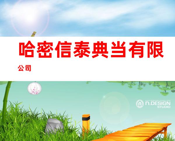 哈密信泰典当有限公司