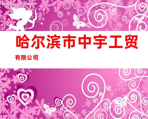 哈尔滨市中宇工贸有限公司
