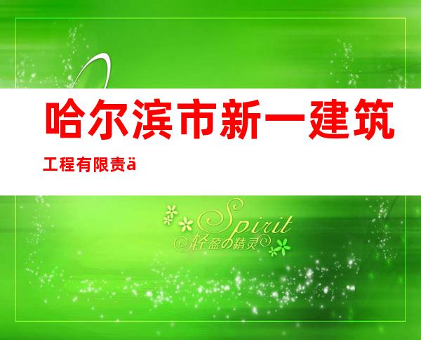 哈尔滨市新一建筑工程有限责任公司
