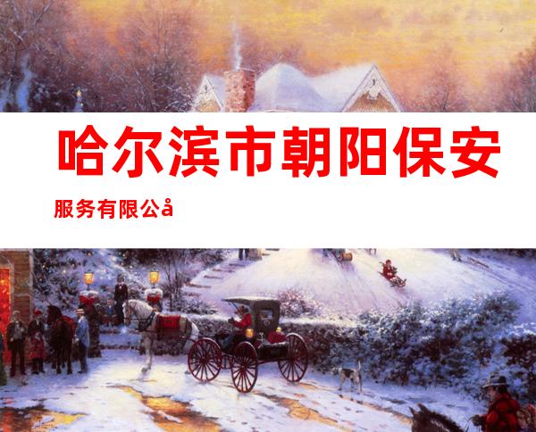 哈尔滨市朝阳保安服务有限公司
