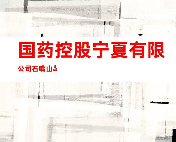 国药控股宁夏有限公司石嘴山分公司