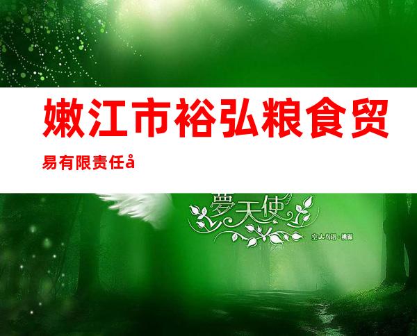 嫩江市裕弘粮食贸易有限责任公司