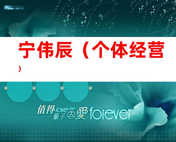 宁伟辰（个体经营）