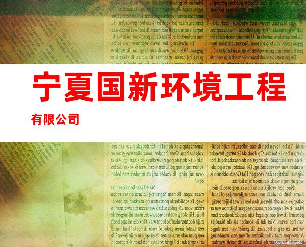 宁夏国新环境工程有限公司