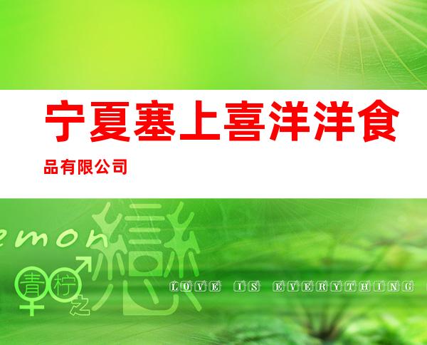 宁夏塞上喜洋洋食品有限公司