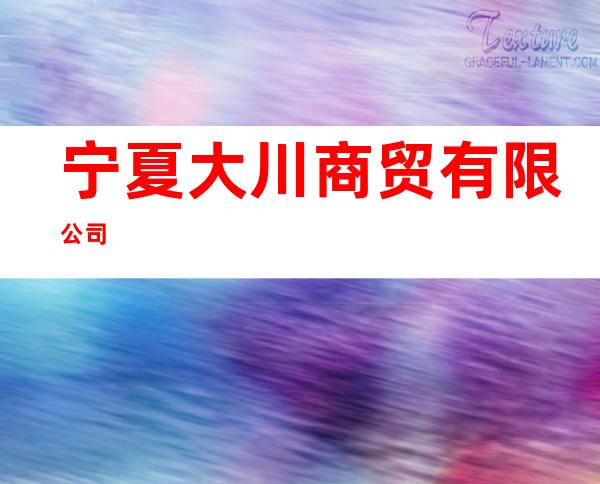 宁夏大川商贸有限公司