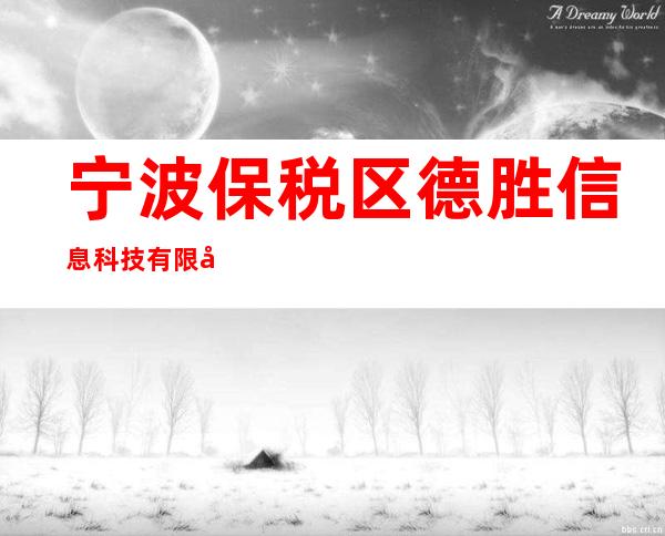 宁波保税区德胜信息科技有限公司