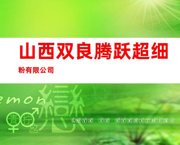 山西双良腾跃超细粉有限公司
