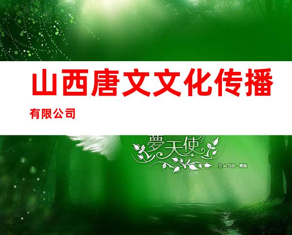 山西唐文文化传播有限公司