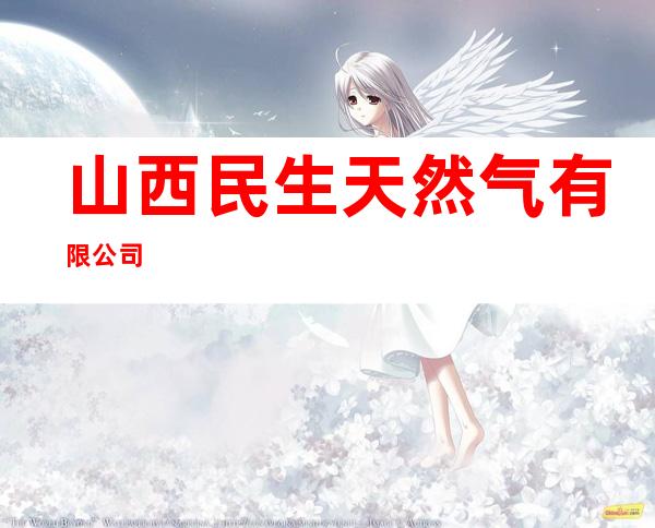 山西民生天然气有限公司
