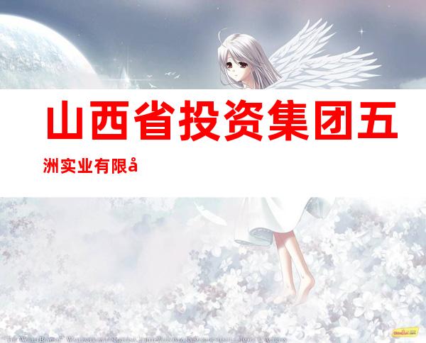 山西省投资集团五洲实业有限公司