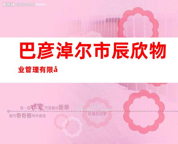 巴彦淖尔市辰欣物业管理有限公司