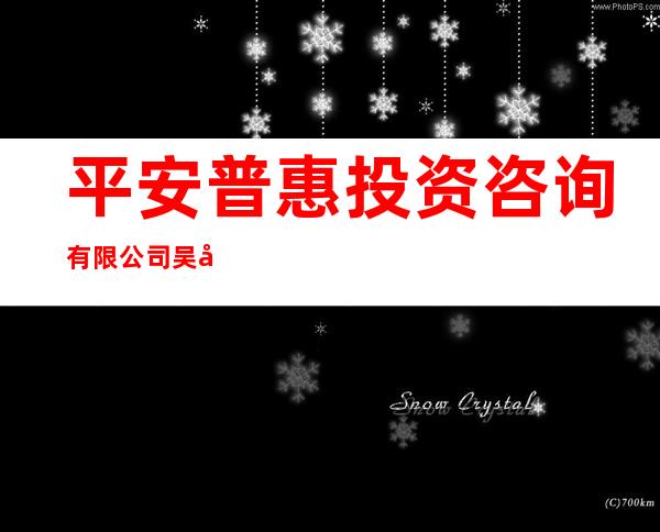 平安普惠投资咨询有限公司吴忠开元大道分公司