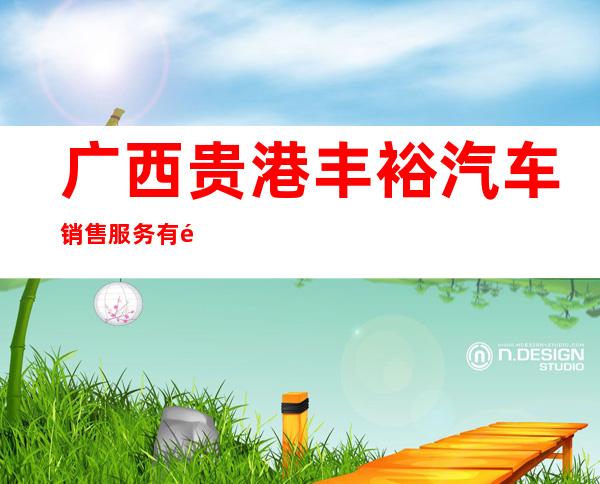 广西贵港丰裕汽车销售服务有限公司