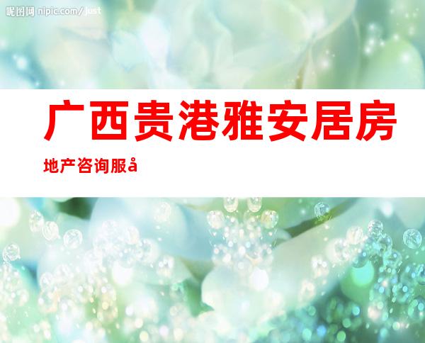 广西贵港雅安居房地产咨询服务有限公司