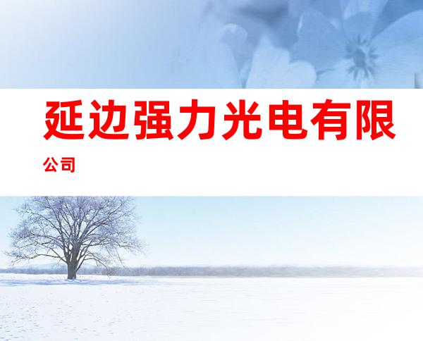 延边强力光电有限公司