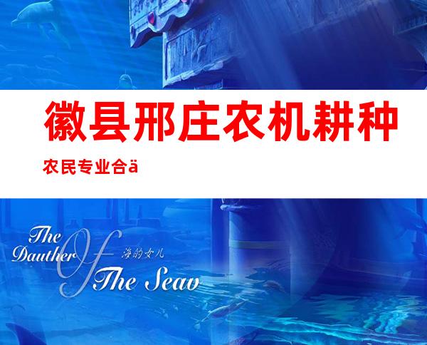 徽县邢庄农机耕种农民专业合作社