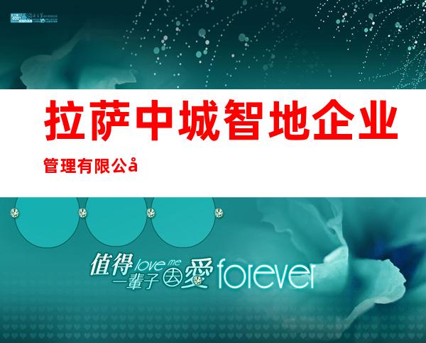 拉萨中城智地企业管理有限公司