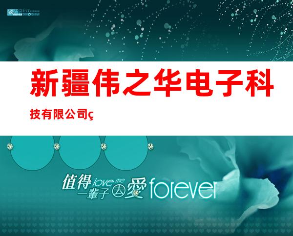 新疆伟之华电子科技有限公司石河子分公司