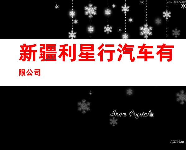 新疆利星行汽车有限公司