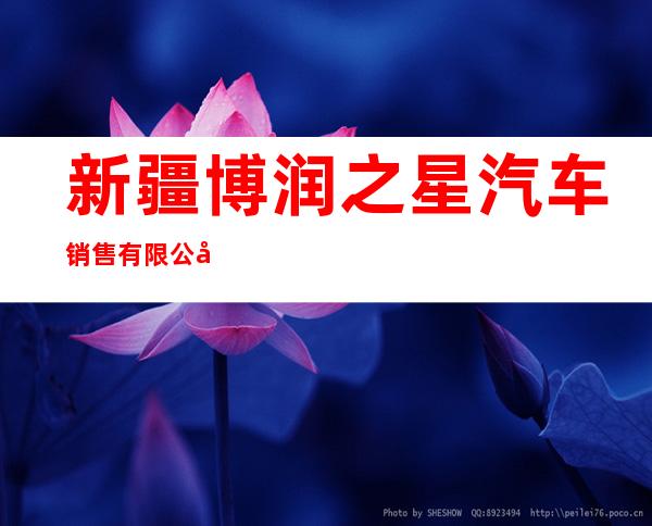 新疆博润之星汽车销售有限公司