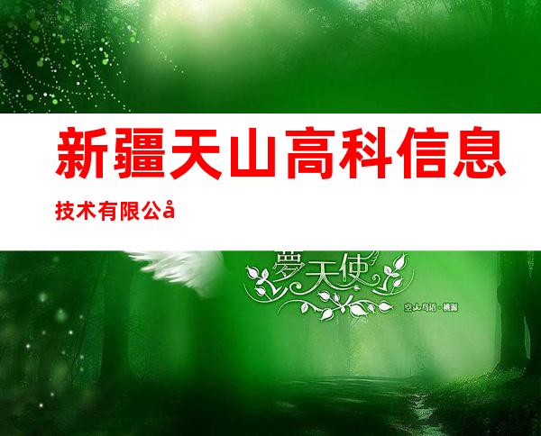 新疆天山高科信息技术有限公司阿拉山口分公司