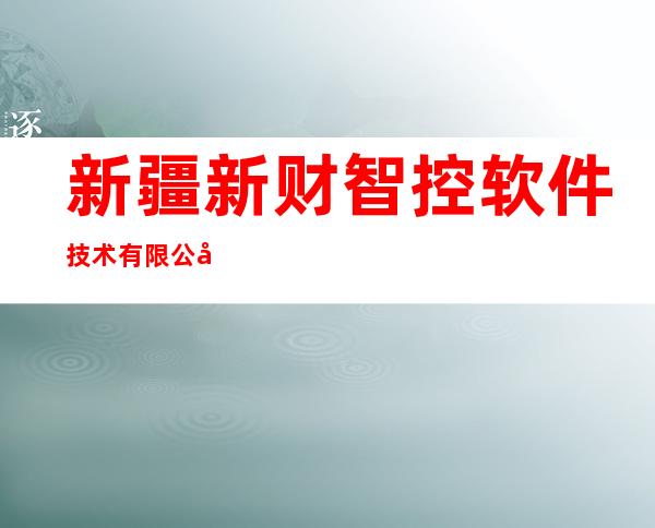 新疆新财智控软件技术有限公司