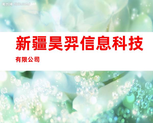新疆昊羿信息科技有限公司